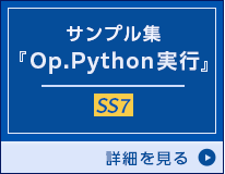 Op.Python実行